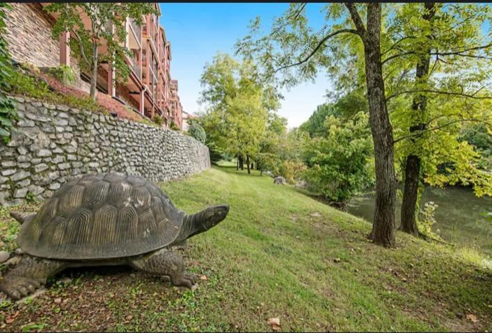 Bandit's Riverfront Retreat - Mountain View- Condo-fishing-balcony-fireplace-great Location! Appartement *